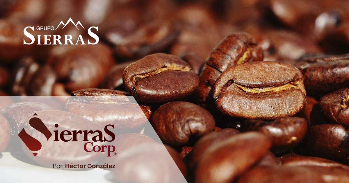 ¿Estás interesado en exportar café?